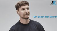 Mr Beast Net Worth
