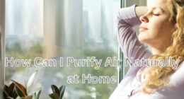 How Can I Purify Air Naturally at Home